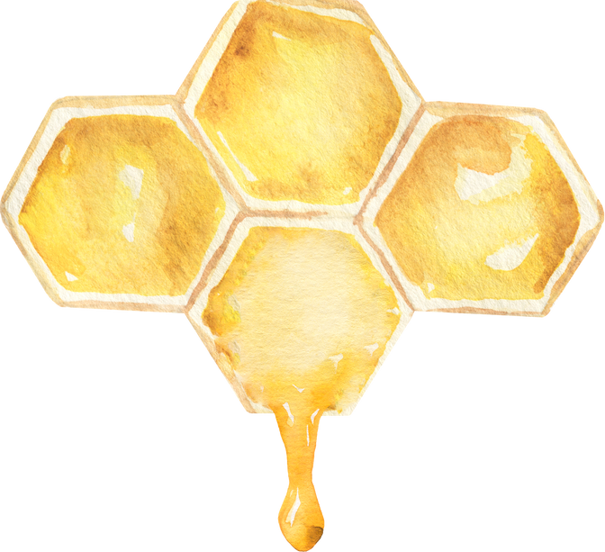Watercolor honey combs with honey drops  illustration. Perfect for cards, invitations and posters.