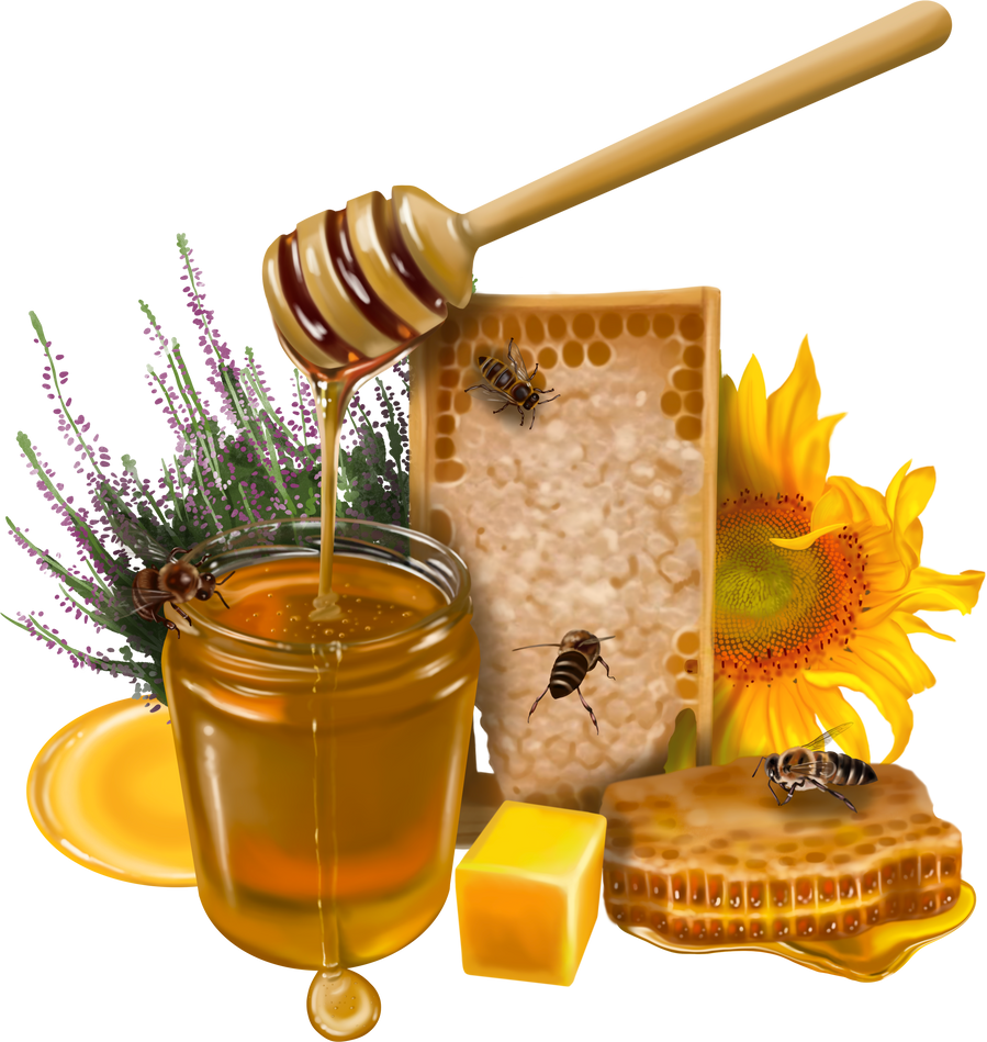honey composition. watercolor realistic illustration of honey, flowers, honeycombs and bees