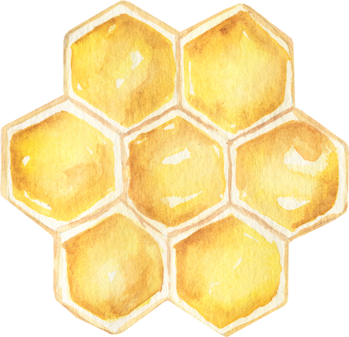 Watercolor honey combs  illustration. Perfect for cards, invitations and posters.